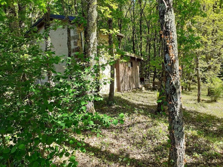 Le Gite De La Cabane De L'Oiseau Couze-et-Saint-Front Exterior foto